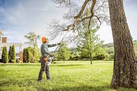 Lawn Renovation and Restoration in Key Center, WA