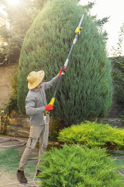 Best Lawn Maintenance Plans  in Key Center, WA